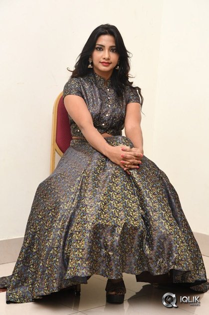 Kamna-Singh-At-Thikka-Movie-Audio-Launch